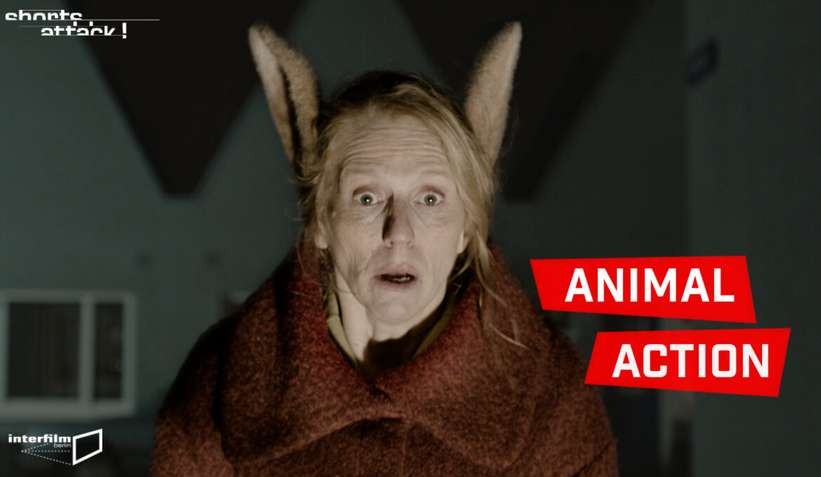 30.07.15 Film: Shorts Attack im Juli – Animal Action