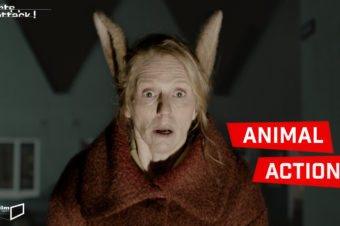 30.07.15 Film: Shorts Attack im Juli – Animal Action